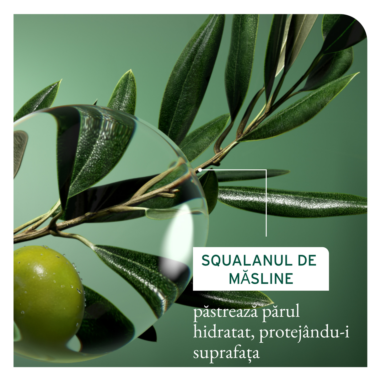 Biolage Strength Recovery Balsam Reparator Profesional 236 ml