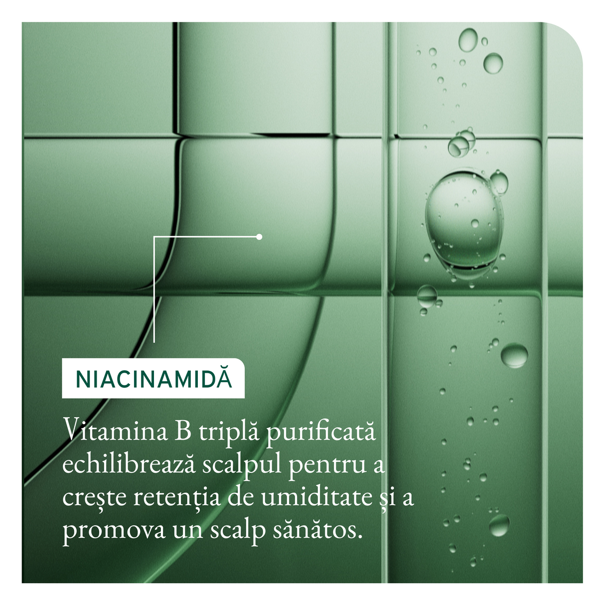 Biolage Full Rescue Tratament Leave-In cu Aminexil, Ulei de Rozmarin și Niacinamide – 6x10ml