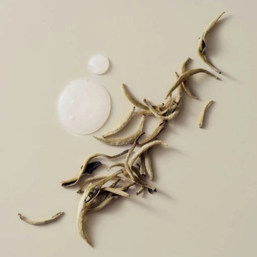 Balsam Leave-In pentru Păr Blond Schwarzkopf BLONDME Bond Repair – Sigilare Vârfuri & Control Anti-Frizz 75ml