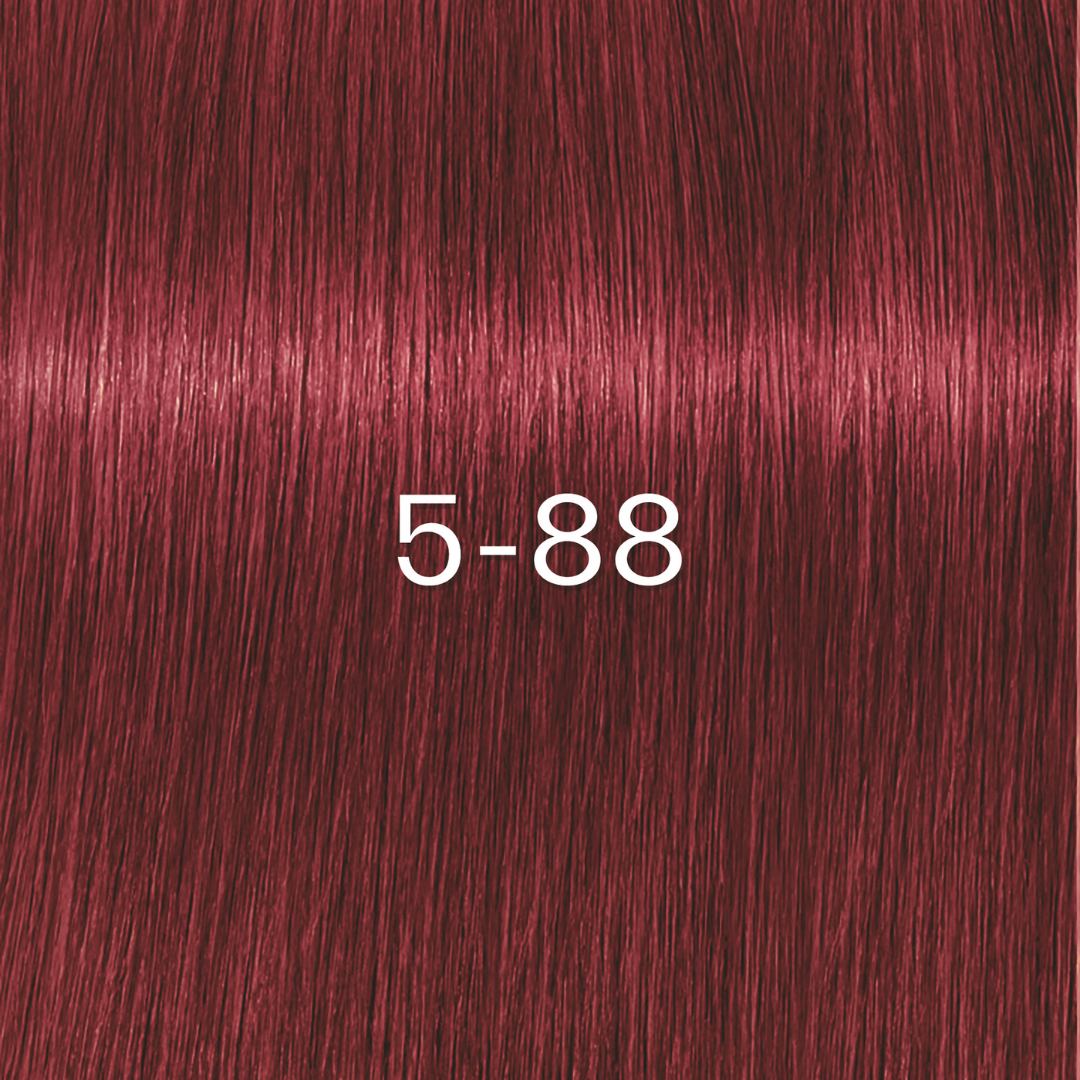 Schwarzkopf Igora Royal Zero AMM Vopsea de Păr Permanentă fără Amoniac 60ml