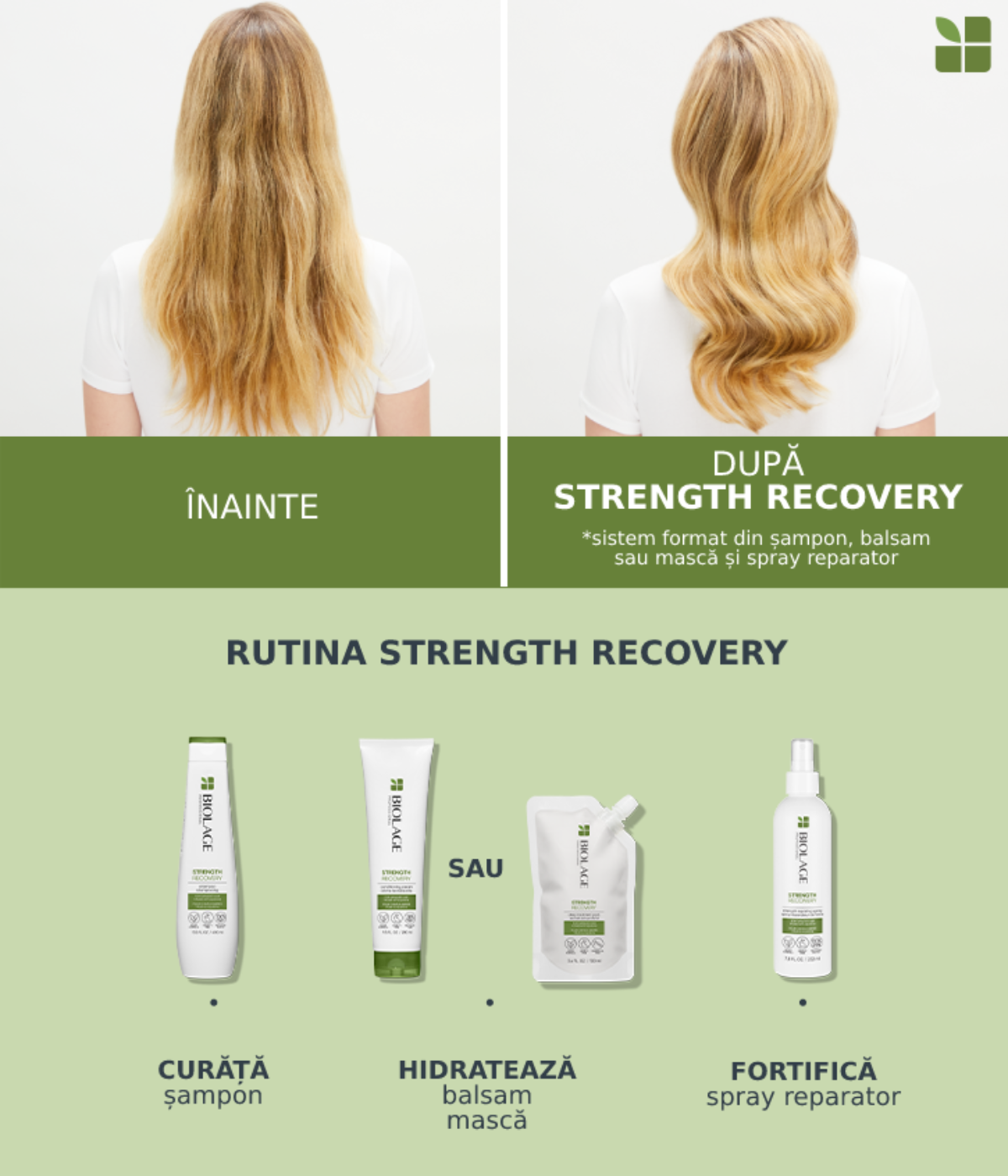Șampon Profesional Reparare Intensă Biolage Strength Recovery cu Ulei de Squalane 250ml – Pentru Păr Deteriorat