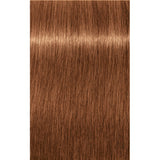 Schwarzkopf Igora Royal Zero AMM Vopsea de Păr Permanentă fără Amoniac 60ml