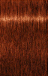 Schwarzkopf Professional Igora Royal Vopsea de Păr Permanentă 60ml Culoare Intensă și Durabilă